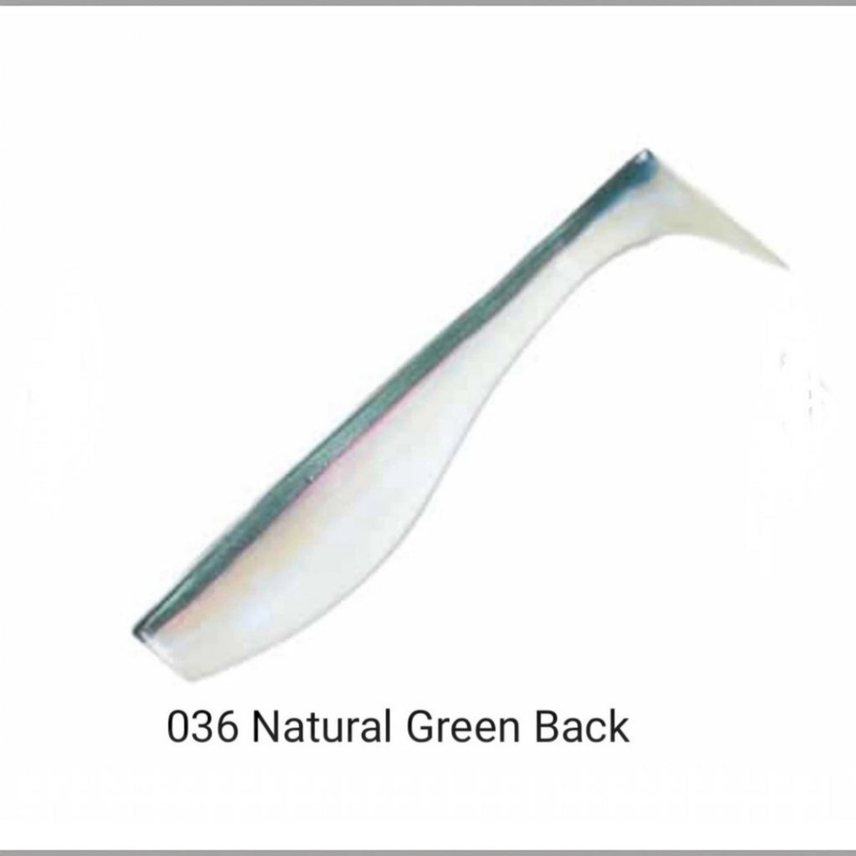 Sakura Fishing Belly Shad 100 mm / 120 mm, Gummifische, Gummiköder